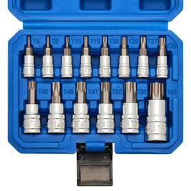 CASOMAN 14-Piece 1/4-Inch, 3/8-Inch & 1/2-Inch Drive Torx Bit Socket Set, T6-T60, Torque Bit Set, Torx Socket Set, CR-V & S2