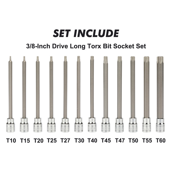 CASOMAN 3/8"Drive Extra Long Torx Bit Socket Set, 12 Piece Torx Stra Bit Set, T10 to T60, Length: 150mm, CR-V&S2 Steel