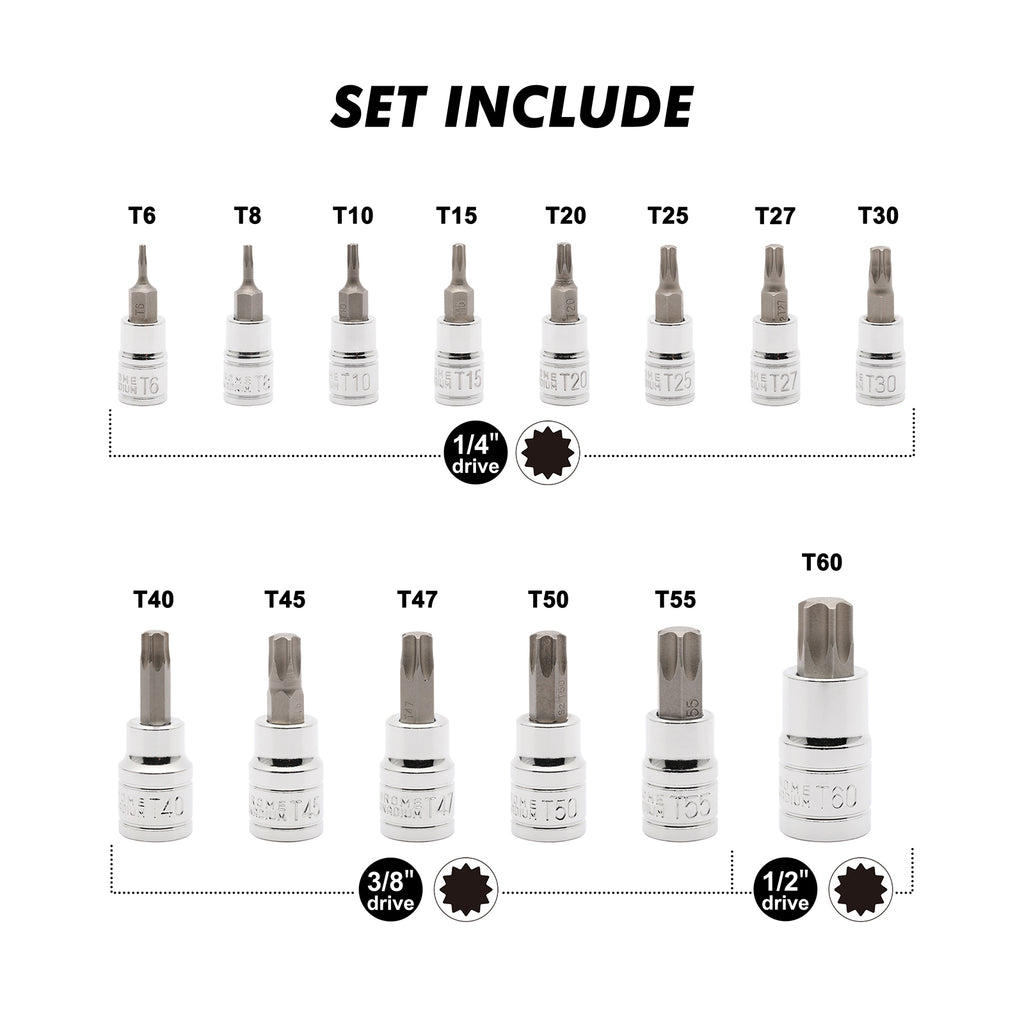 CASOMAN 14-Piece 1/4-Inch, 3/8-Inch & 1/2-Inch Drive Torx Bit Socket Set, T6-T60, Torque Bit Set, Torx Socket Set, CR-V & S2
