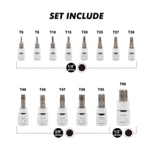 Load image into Gallery viewer, CASOMAN 14-Piece 1/4-Inch, 3/8-Inch &amp; 1/2-Inch Drive Torx Bit Socket Set, T6-T60, Torque Bit Set, Torx Socket Set, CR-V &amp; S2