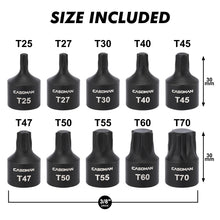 Load image into Gallery viewer, CASOMAN 10-Piece 3/8" Drive Low Profile Impact Torx Bit Socket Set, Includes Storage Rail, CR-MO Steel, Designed for Impact Use