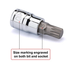 Load image into Gallery viewer, CASOMAN 10PCS 1/4-Inch, 3/8-Inch &amp; 1/2-Inch Drive XZN Triple Square Spline Bit Socket Set, M4-M18, 12 Point Tamper Proof, Cr-V Sockets and S2 Steel Bits
