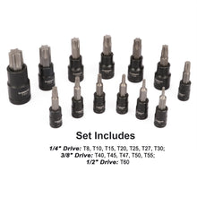 Load image into Gallery viewer, CASOMAN 25 Piece Torx Bit Socket and External Socket Set, 13 Star Socket Bits (T8- T60)&amp; 12 Female E-Torx Sockets (E4-E22)